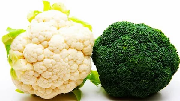 تصویر 3 از راهنمای خرید گل کلم عمده + قیمت عالی